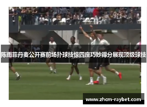 陈雨菲丹麦公开赛前场扑球技惊四座巧妙得分展现顶级球技 陈雨菲丹麦公开赛前场扑球技惊四座巧妙得分展现顶级球技