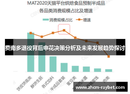 费南多退役背后申花决策分析及未来发展趋势探讨