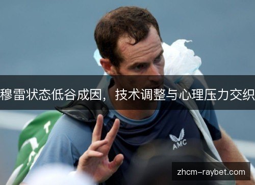 穆雷状态低谷成因，技术调整与心理压力交织